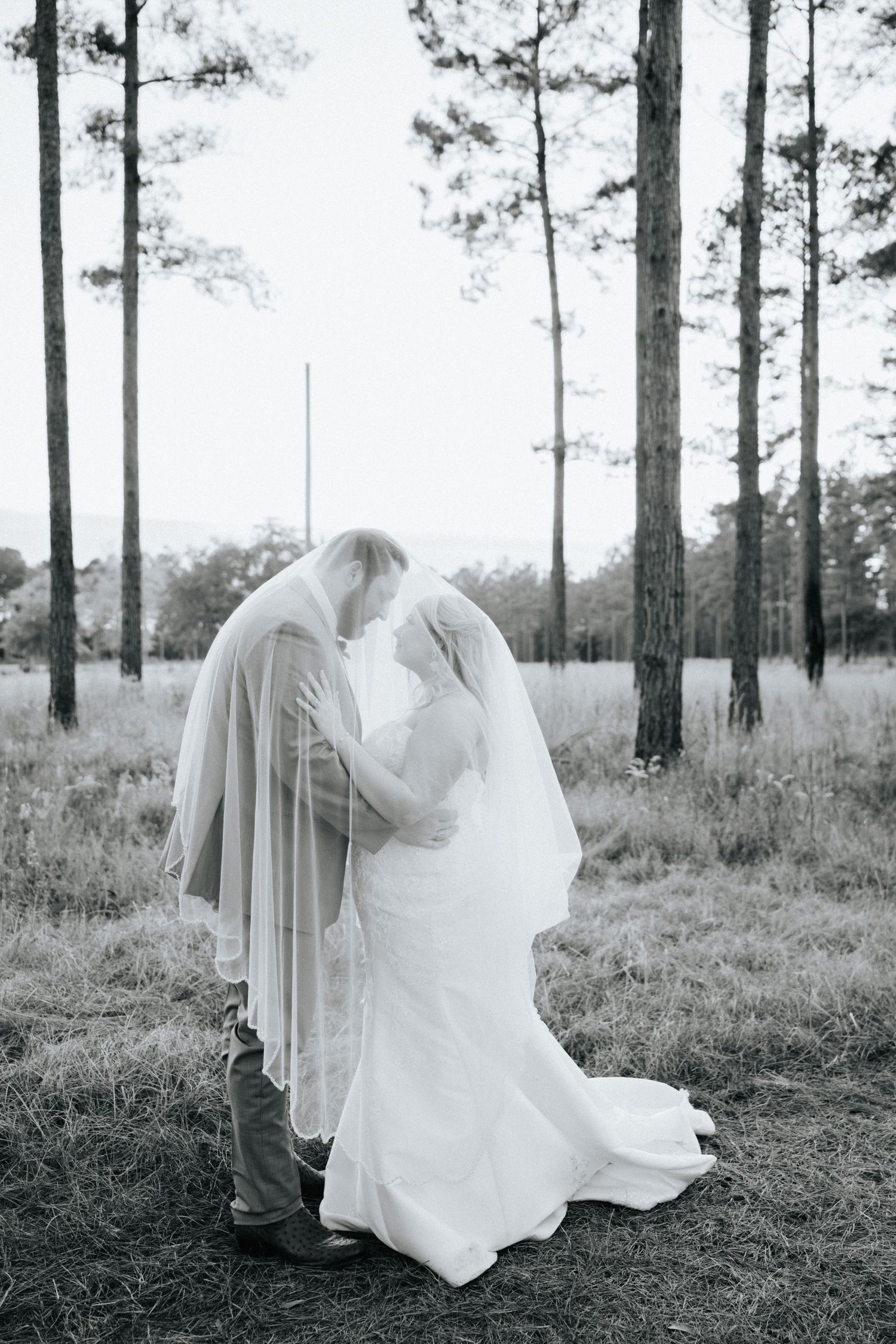 A series of ghostly white sheets float among tall pine trees in a black and white artistic forest scene.