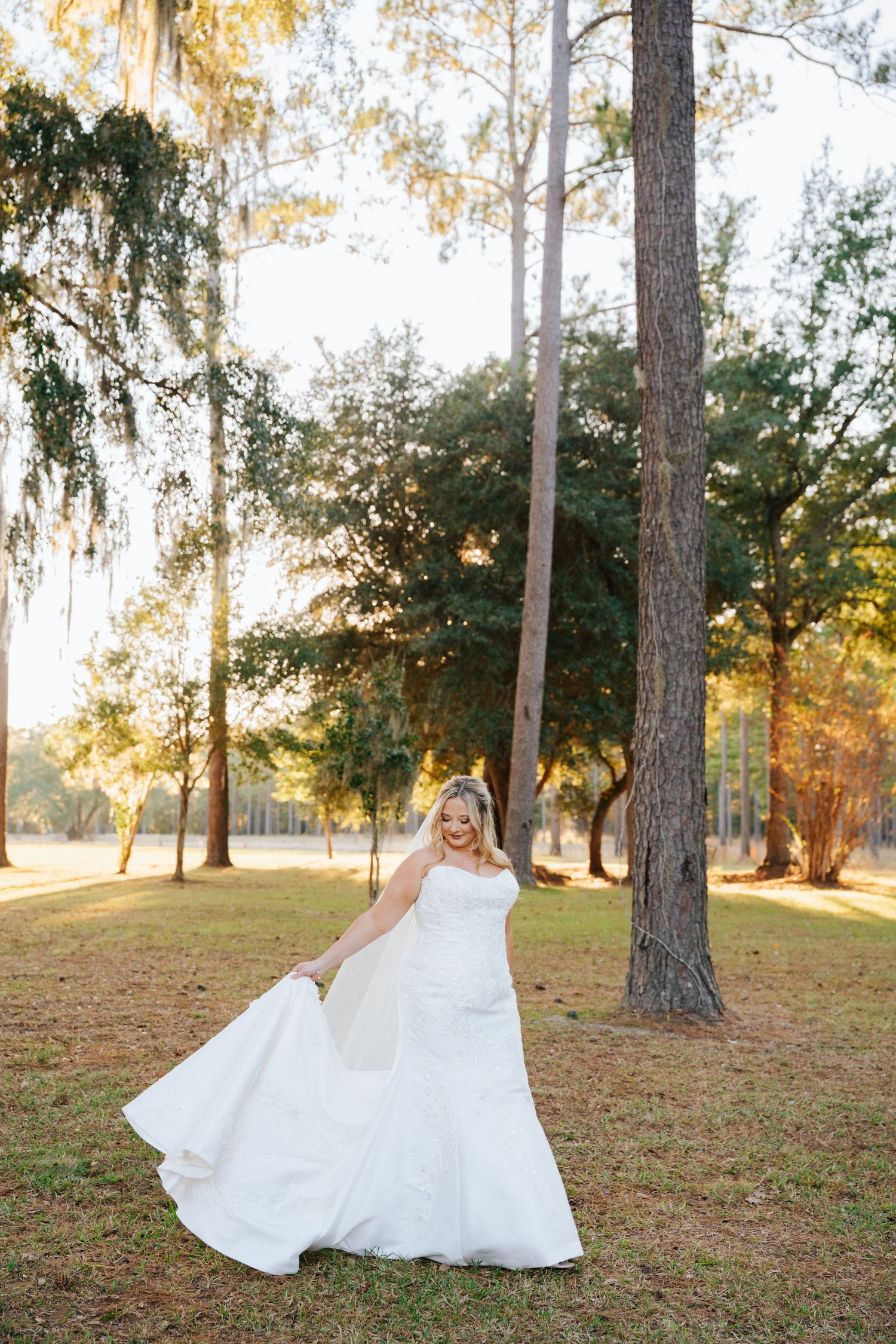 A bride in a flowing white gown twirls gracefully among tall pine trees during golden hour.
