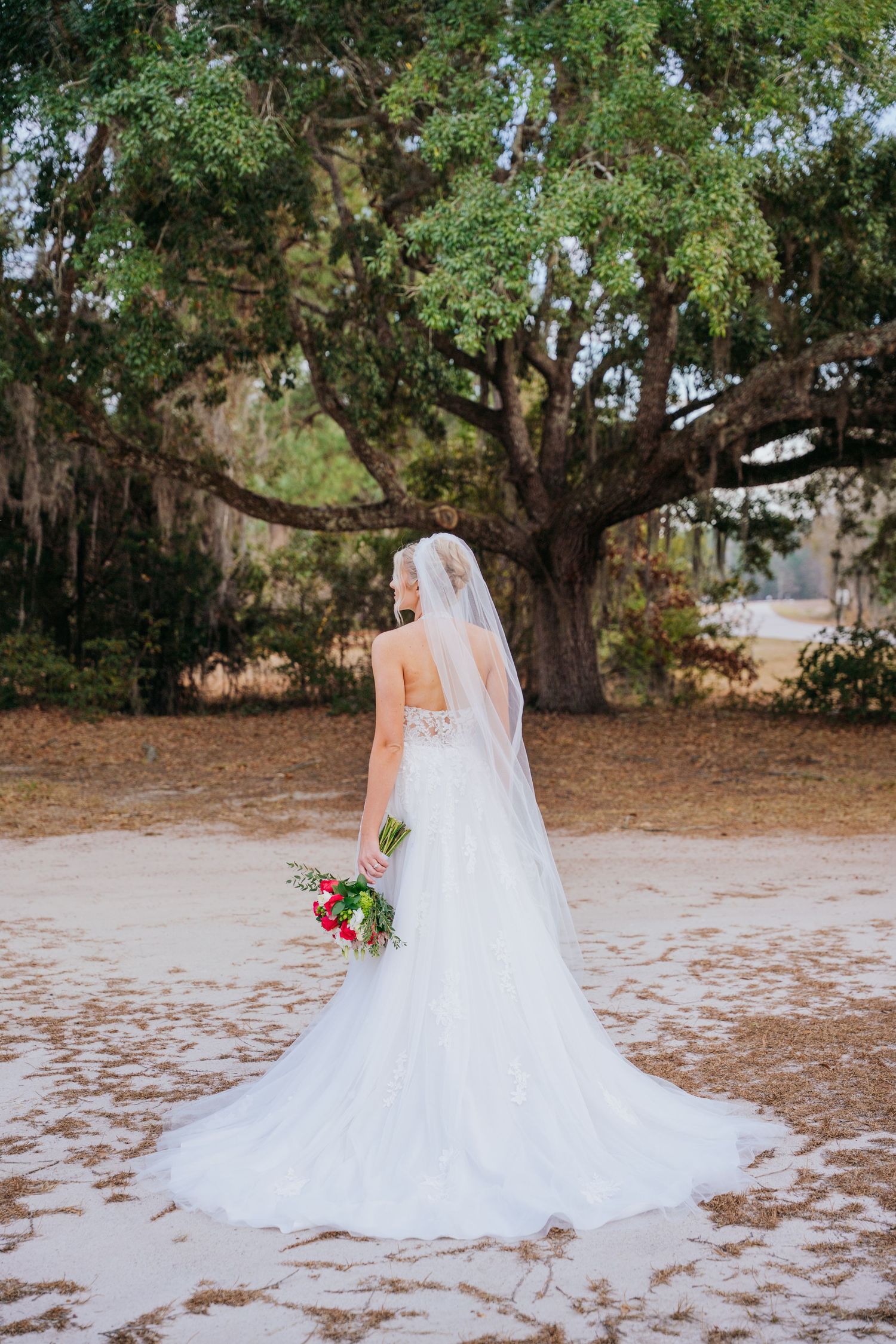 A bride in a flowing white wedding dress and veil sits gracefully on sandy ground beneath a large shady tree.