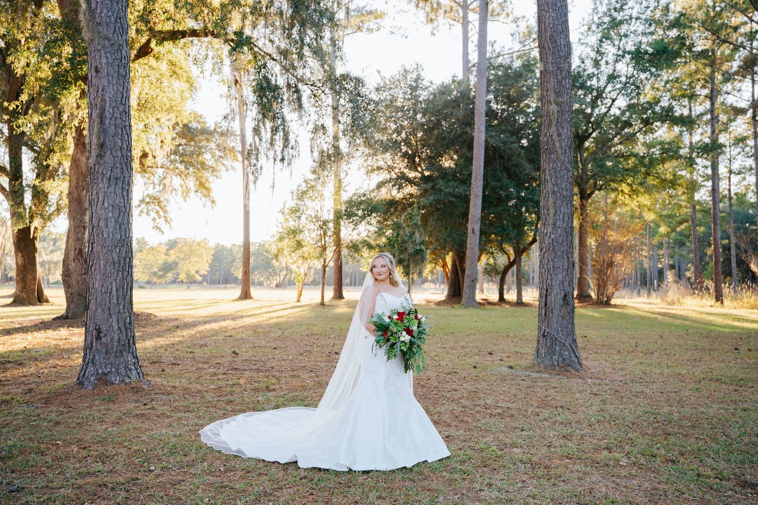 A bride in a flowing white gown stands among tall pine trees in a sunlit outdoor setting during golden hour.