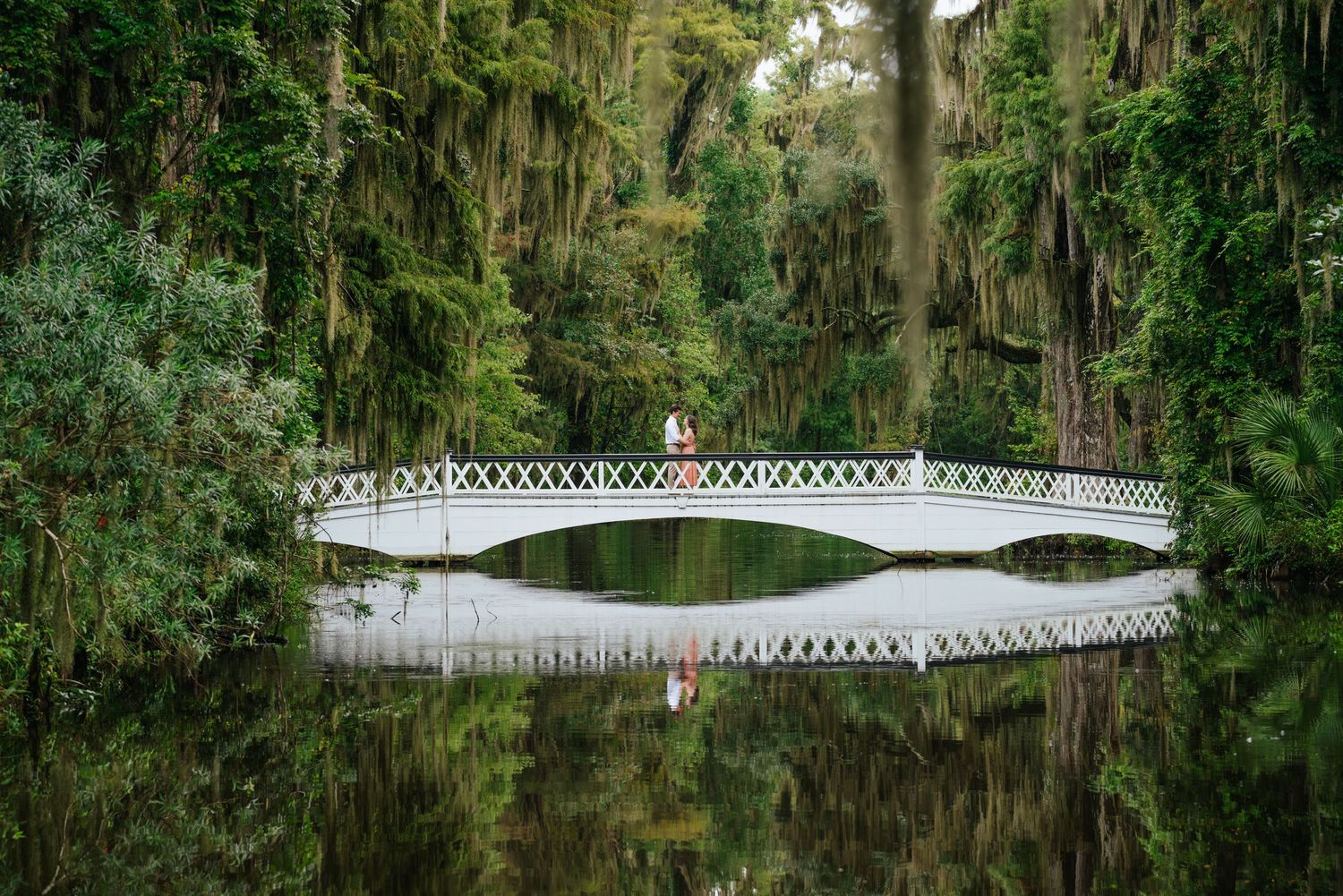 Elegant white bridge spans across tranquil waters with Spanish moss hanging from surrounding trees.