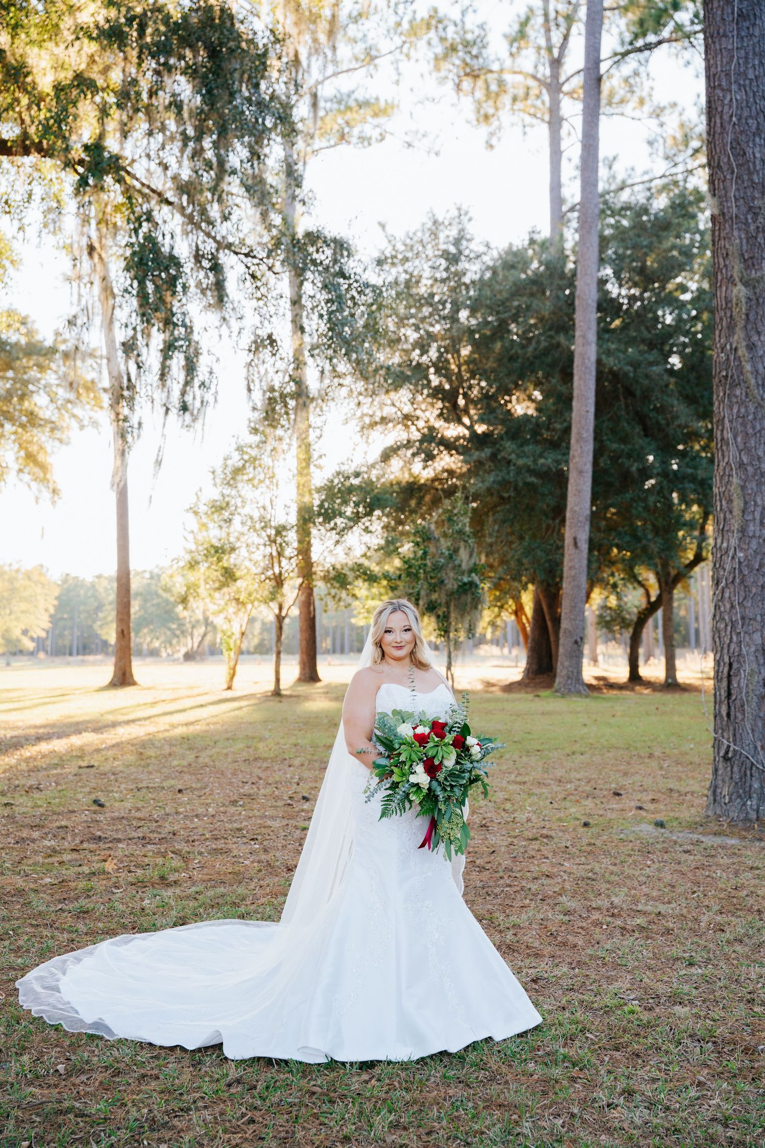 A beautiful wedding dress with a flowing train is photographed in a sunlit outdoor setting among tall pine trees.