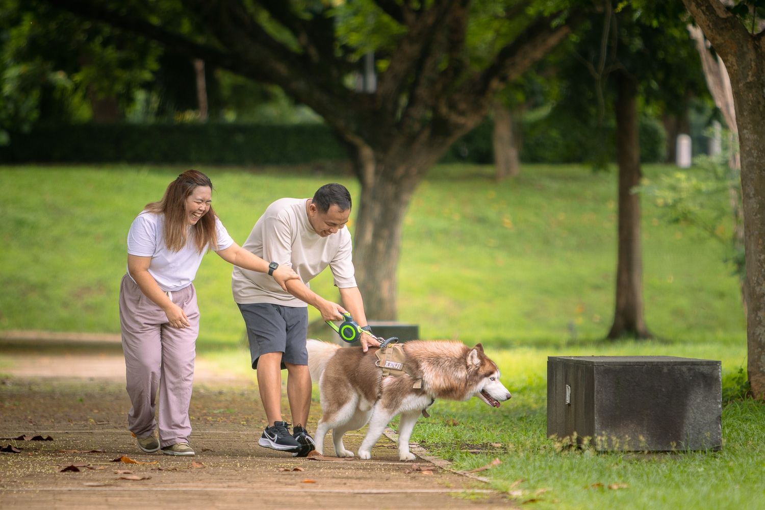 Two people walk their husky dog on leashes in a green park area near trees.