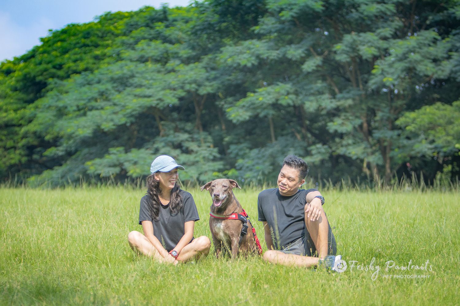 outdoor portrait of a human couple with their dog