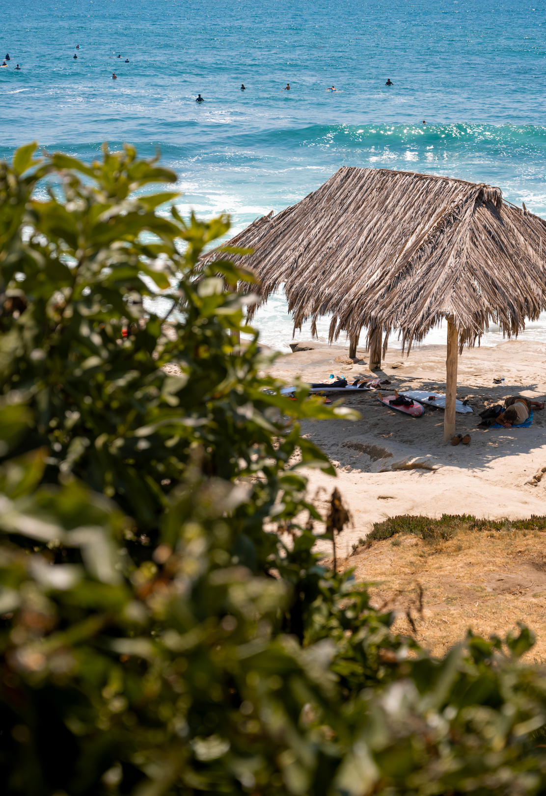 A thatched beach umbrella with ocean waves in the background at Windansea beach in La Jolla.