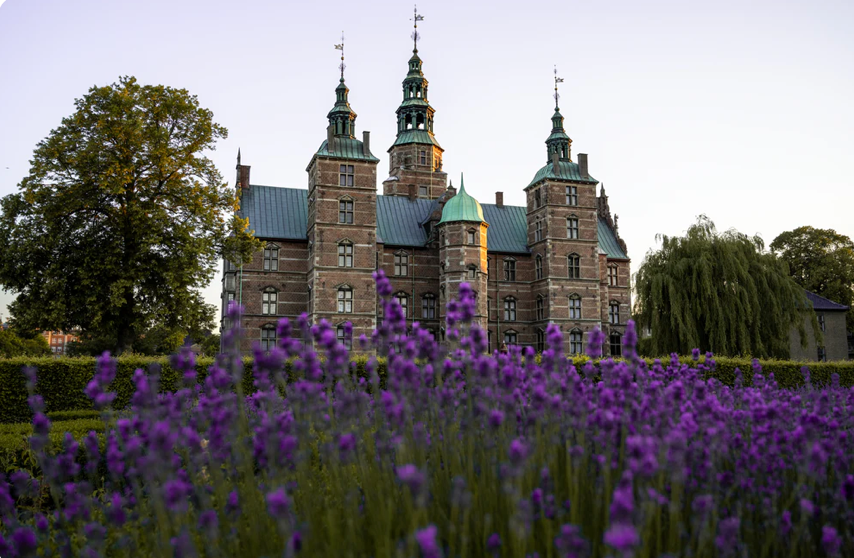 Rosenborg Castle in Copenhagen with blooming purple lavender flowers in foreground.