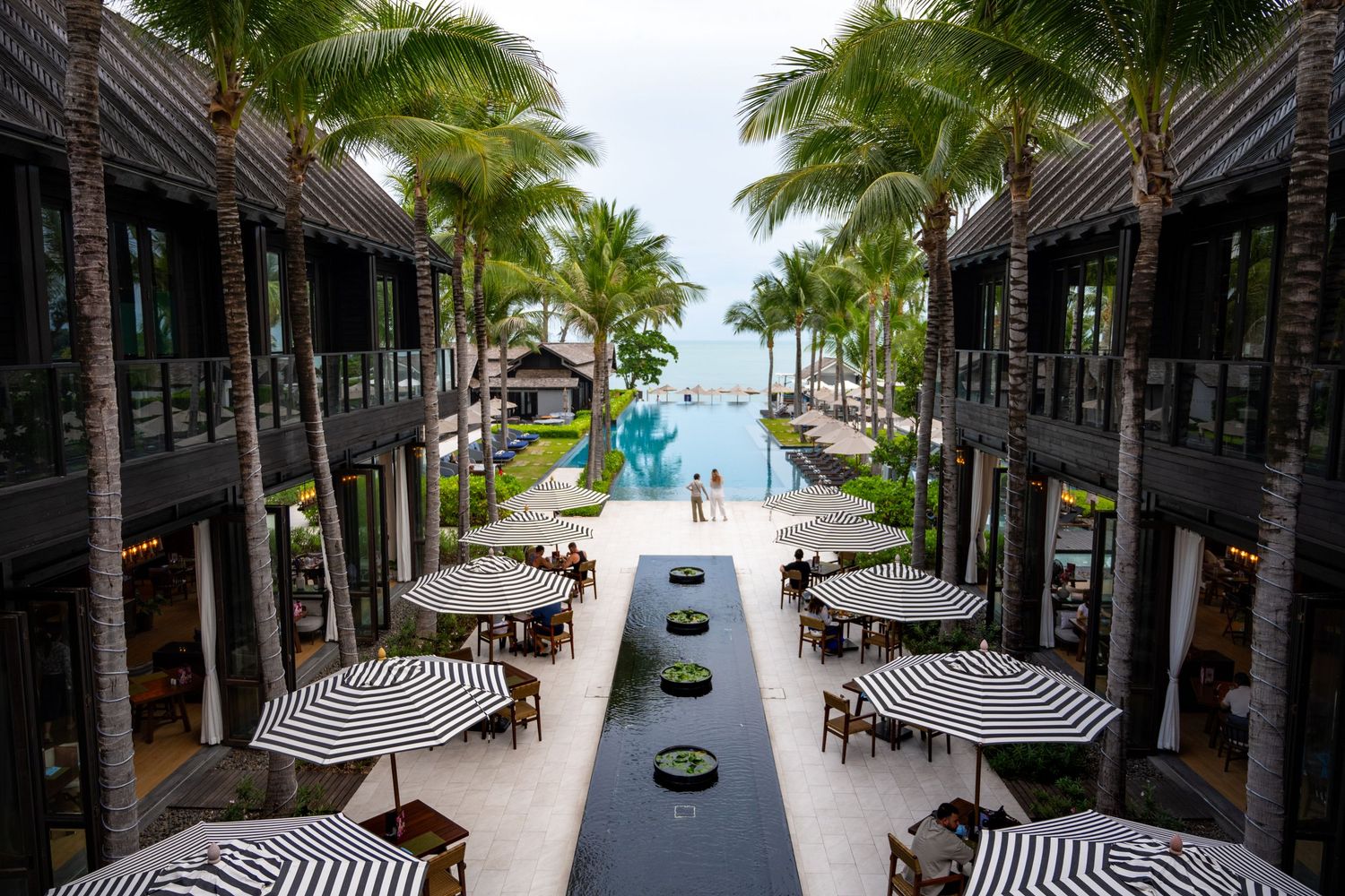 A luxury resort walkway lined with palm trees and striped umbrellas leading to the pool and ocean view in Koh Samui, Thailand.