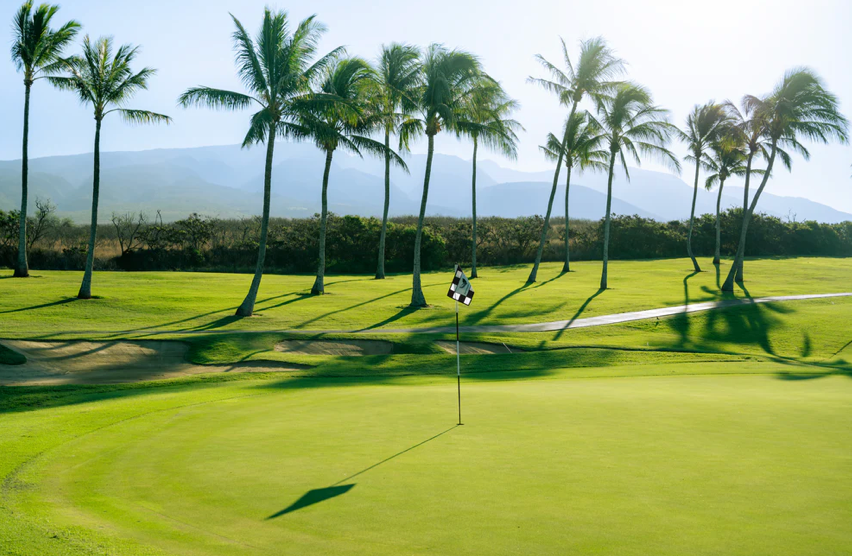 Scenic golf course with palm trees and putting green in Hawaii.