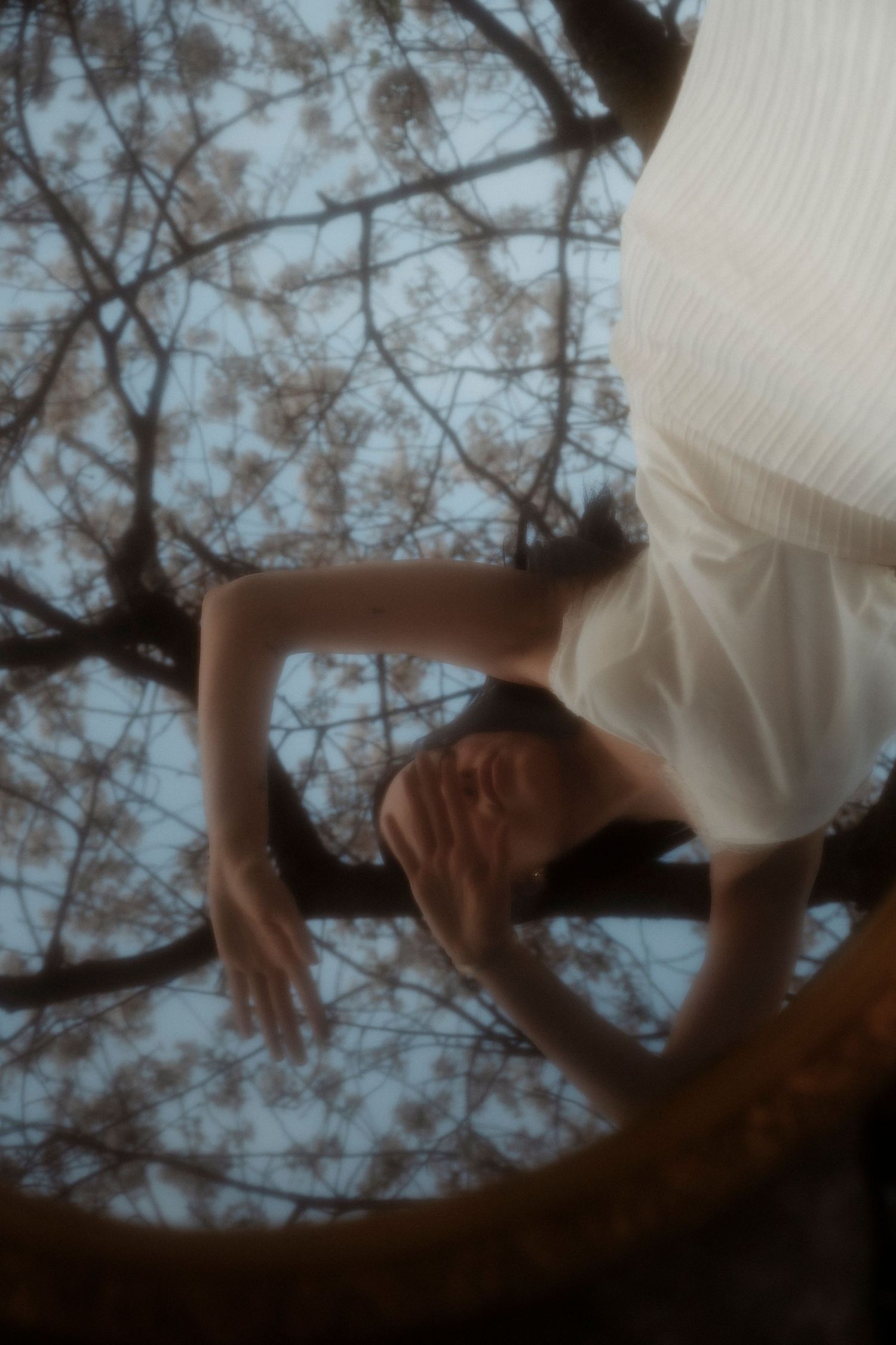 A woman in a white dress lies on a tree branch, surrounded by blooming trees, captured in a dreamy upside-down perspective.