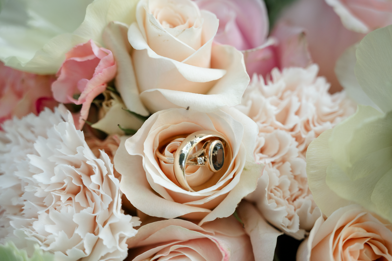 Soft focus close-up of pale pink and peach roses with wedding rings.