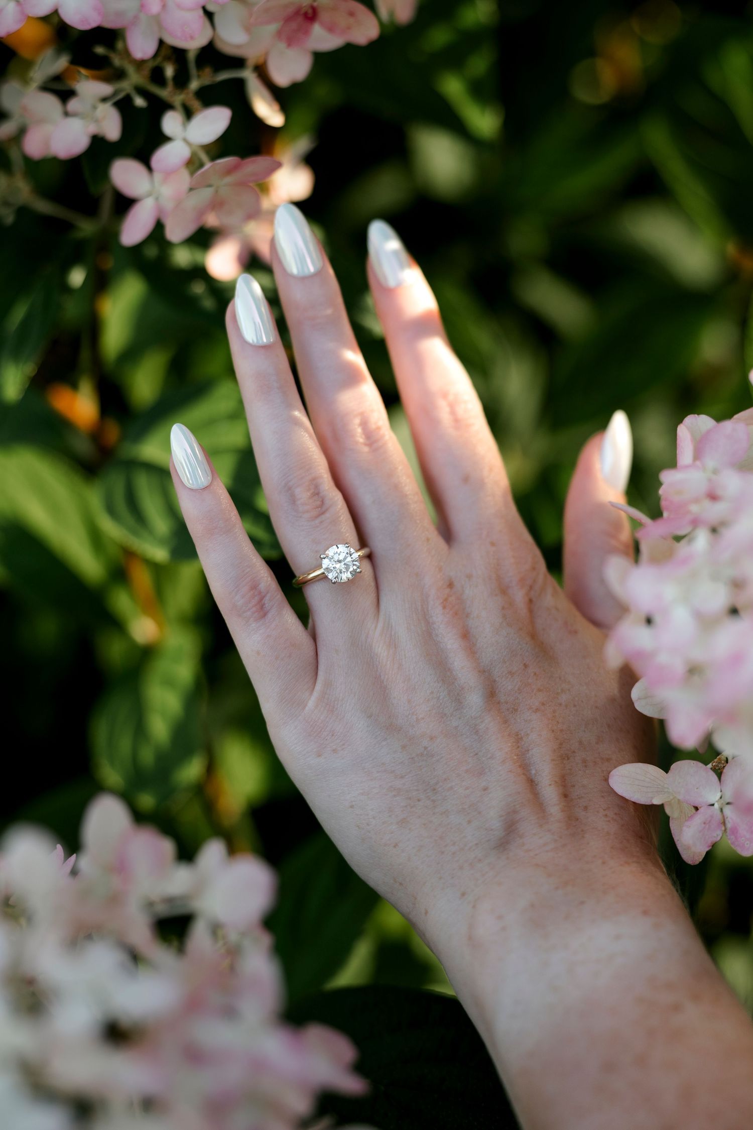 Hand with diamond solitaire engagement ring and white nails posed among pink hydrangea flowers in garden.