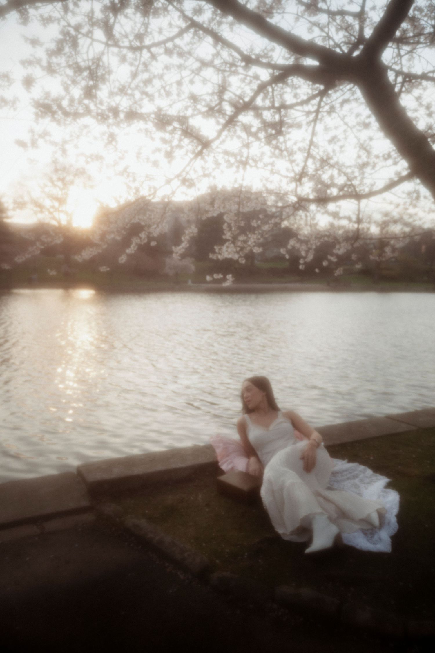 Woman in white dress sitting by a tranquil lake at sunset under cherry blossom trees in soft dreamy light.