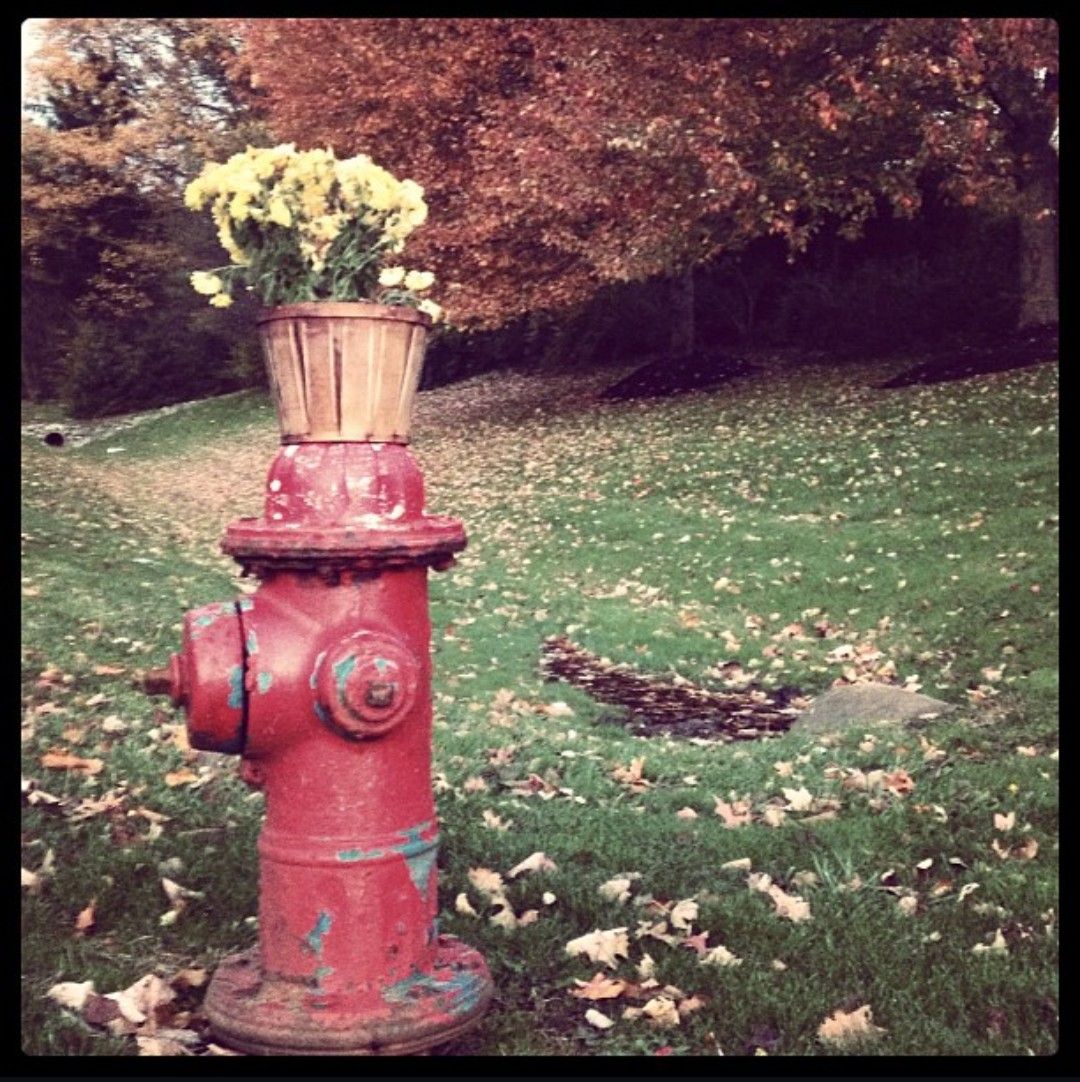 A red fire hydrant stands in a grassy lawn with scattered autumn leaves creating a seasonal outdoor scene.