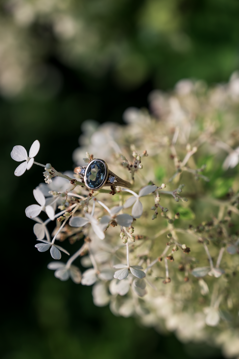 Elegant gold ring with dark gemstone resting on a delicate white hydrangea bloom outdoors.