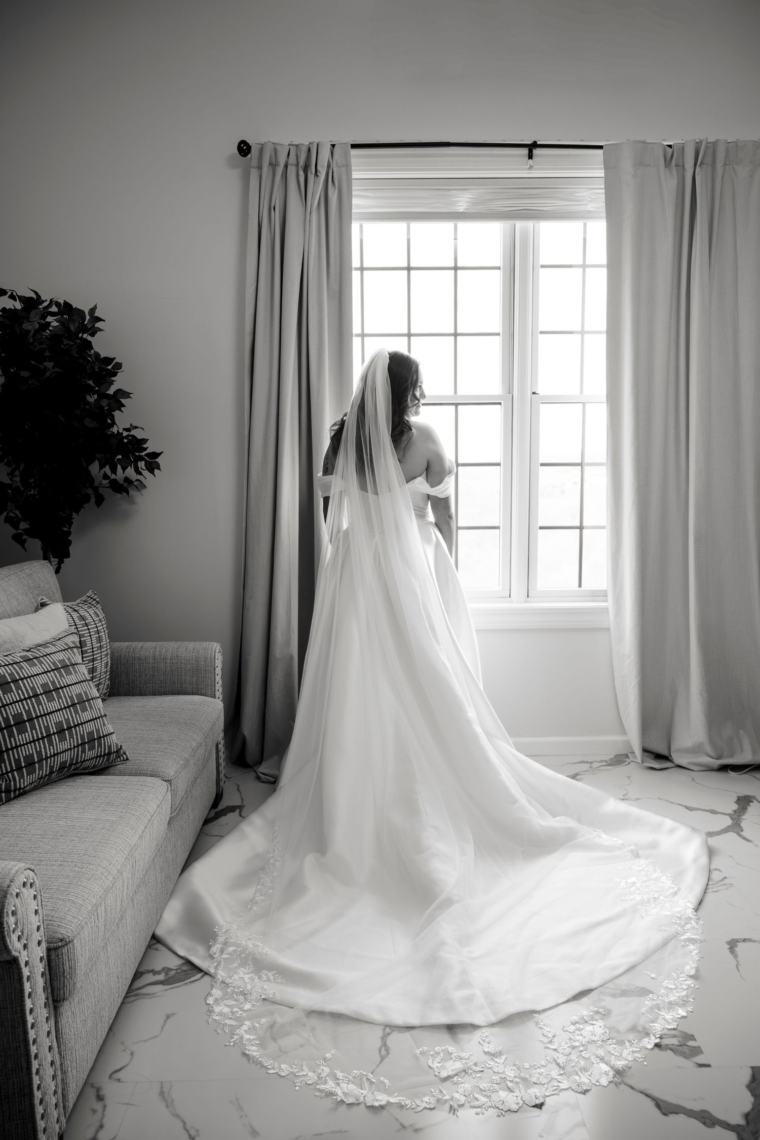 Bride in elegant wedding gown with lace-trimmed cathedral veil stands before a bright window in a softly lit room.