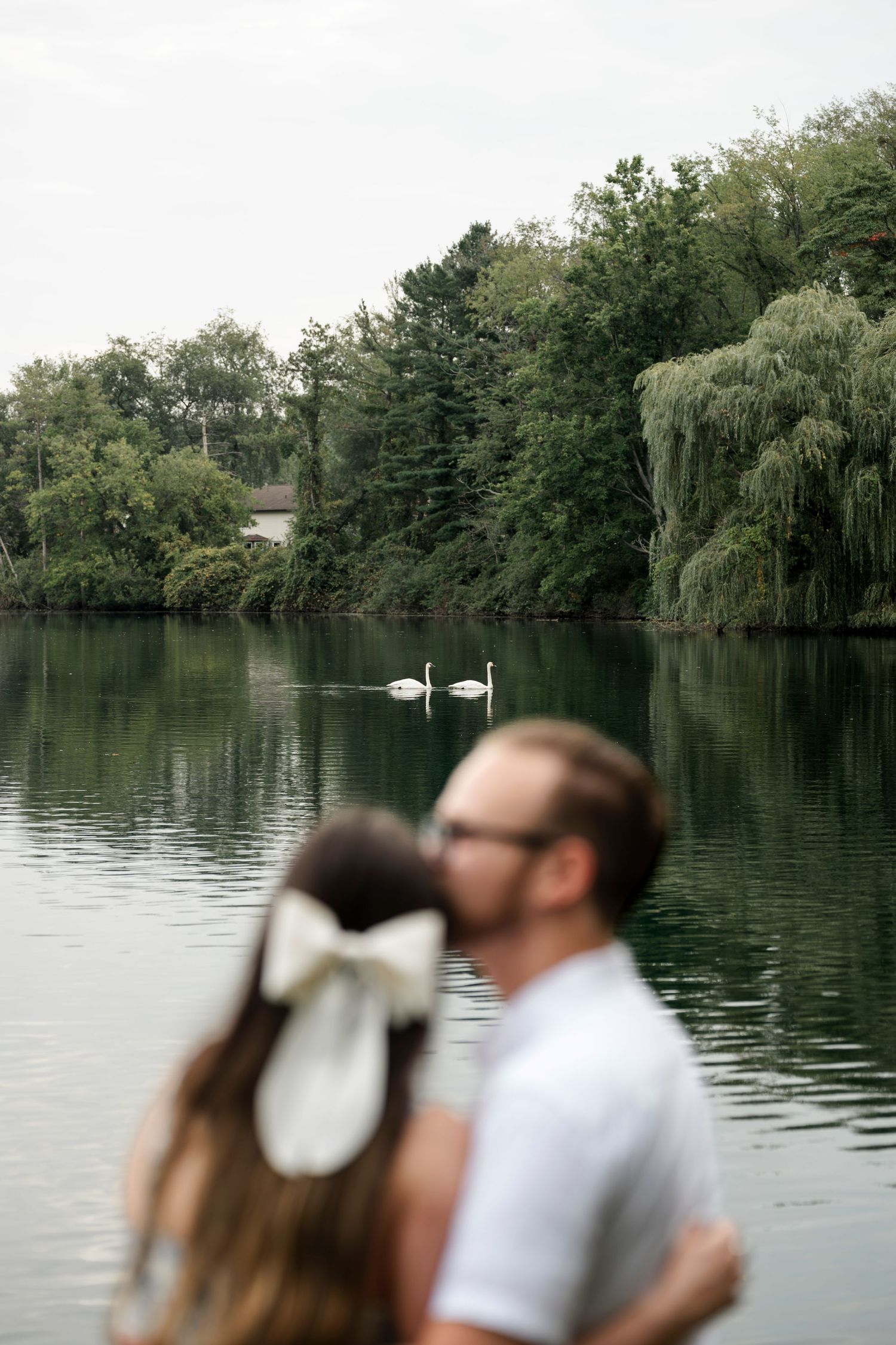 Couple stands by a serene lake with two swans swimming, surrounded by lush green trees.