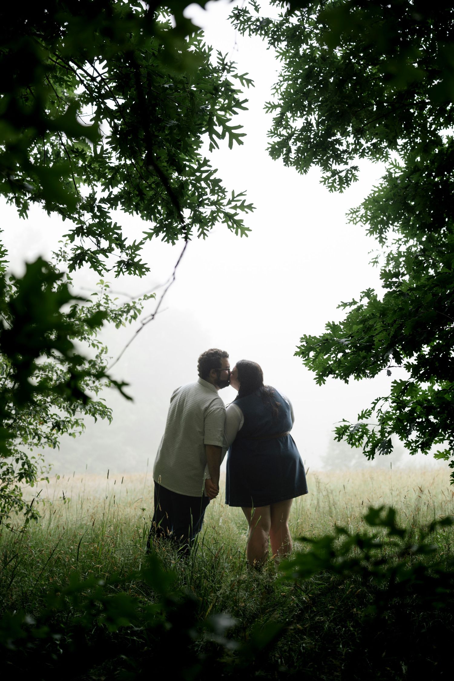Couple sharing a romantic kiss framed by lush green trees in a misty meadow.