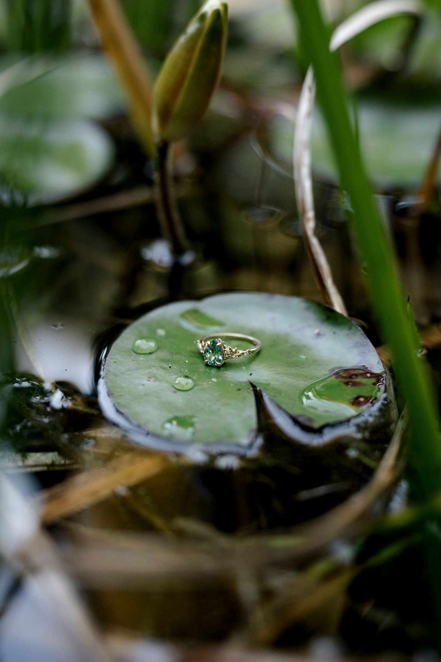 Gold ring with green gemstone resting on a lily pad with water droplets in a serene pond setting.