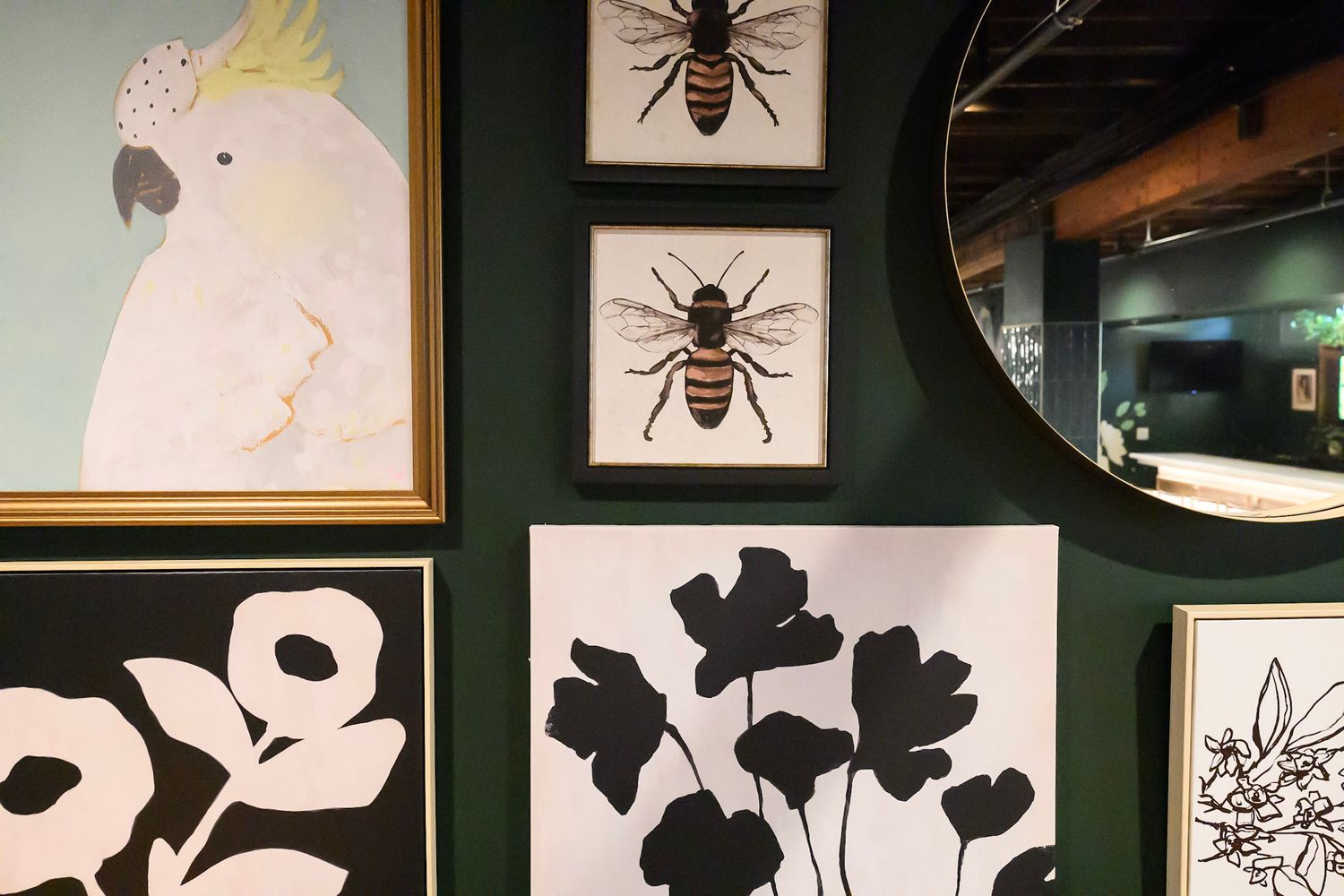 A wall gallery displays black and white illustrations of insects and botanical artwork in dark frames against a green wall.
