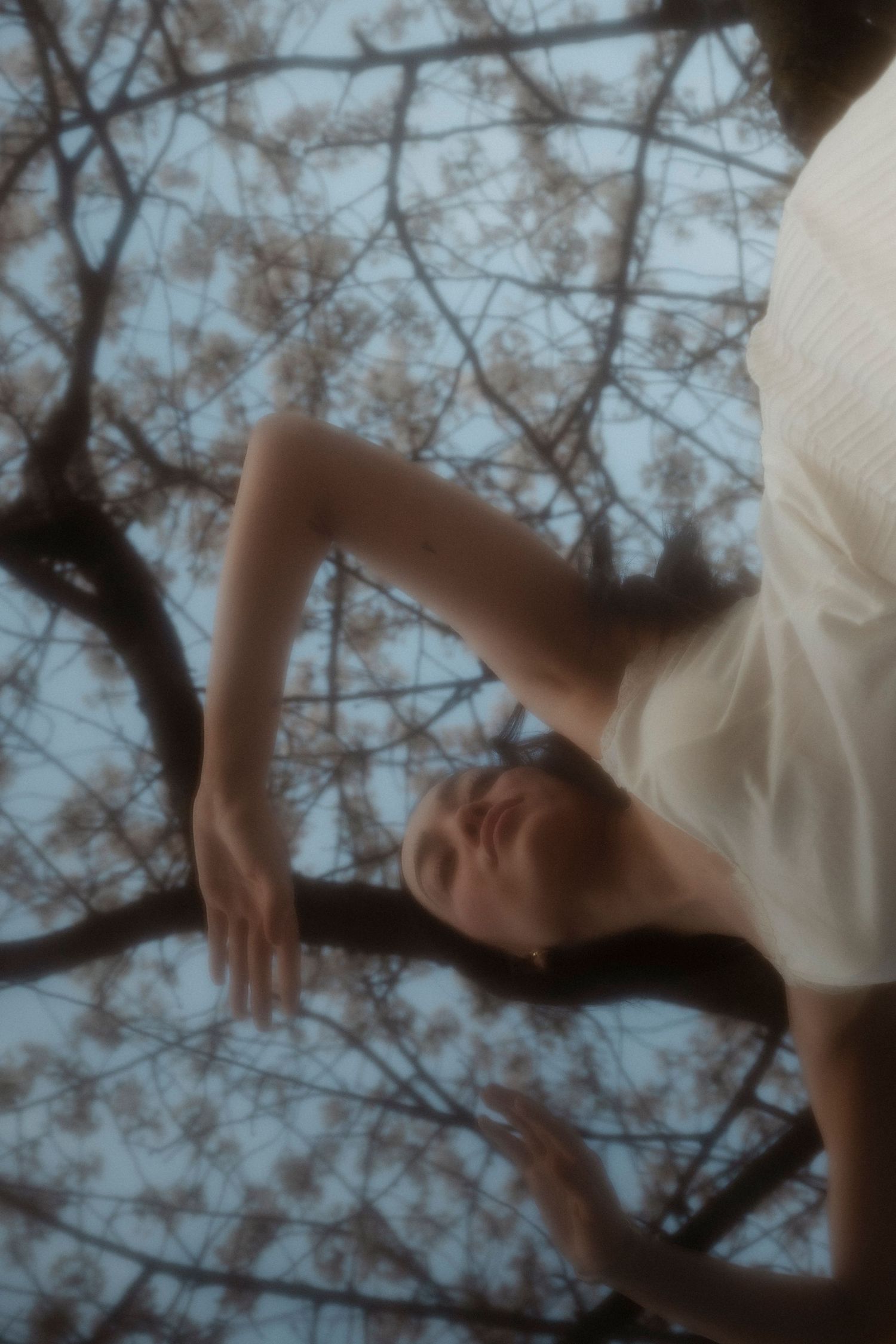 A woman in a white dress reclines gracefully on tree branches, photographed from below against a soft blue sky.