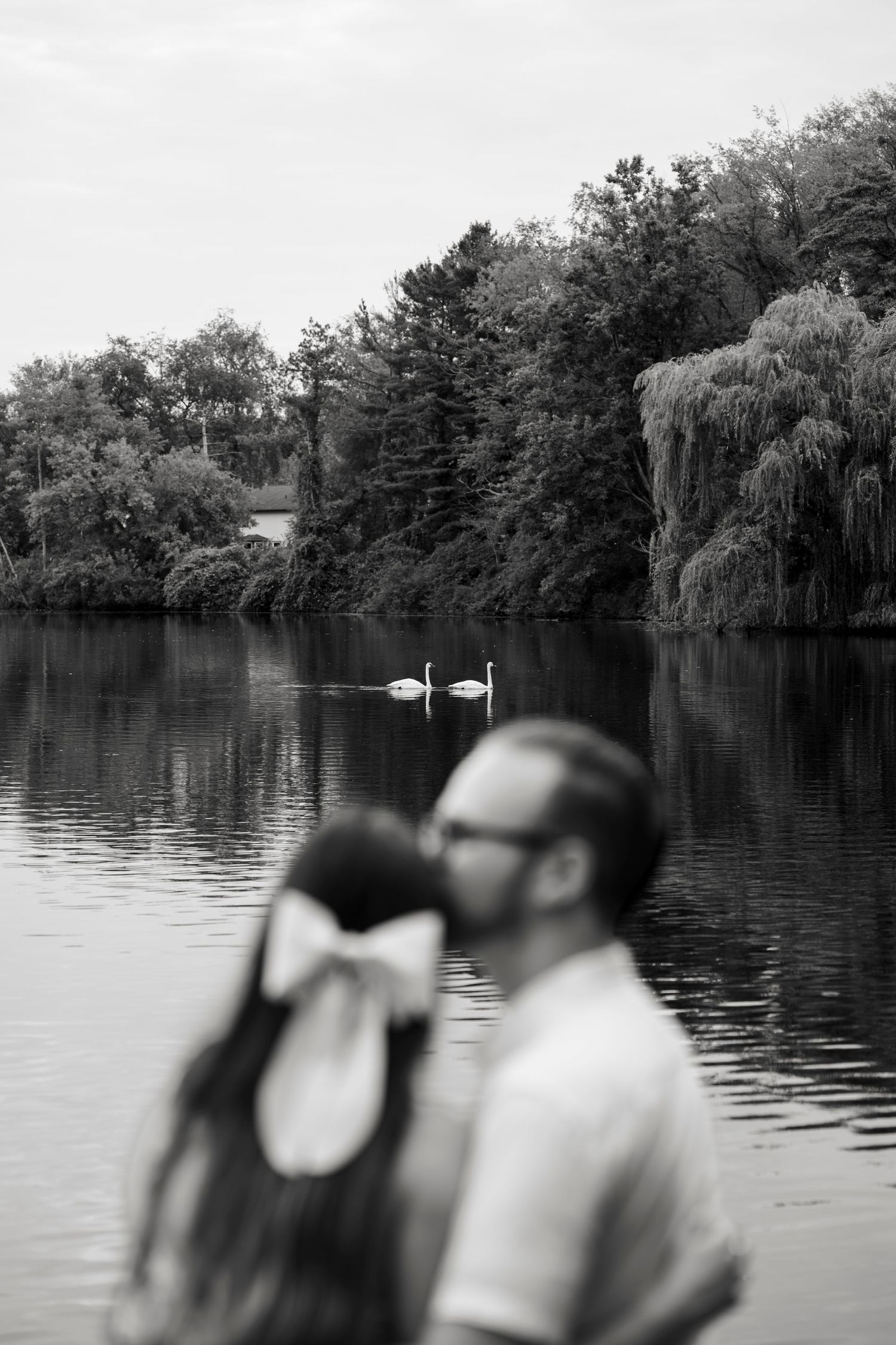Black and white photo of a couple near a serene lake with two swans swimming among lush trees in the background.