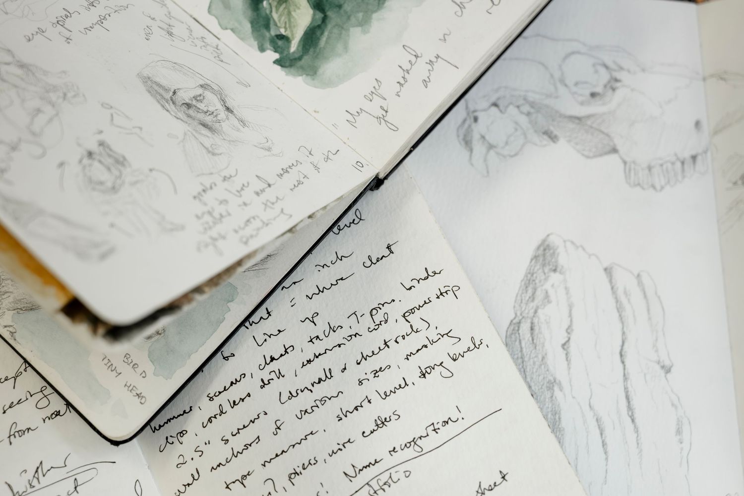 Handwritten journal pages and sketches spread across a white surface with green tinted elements in the corner.