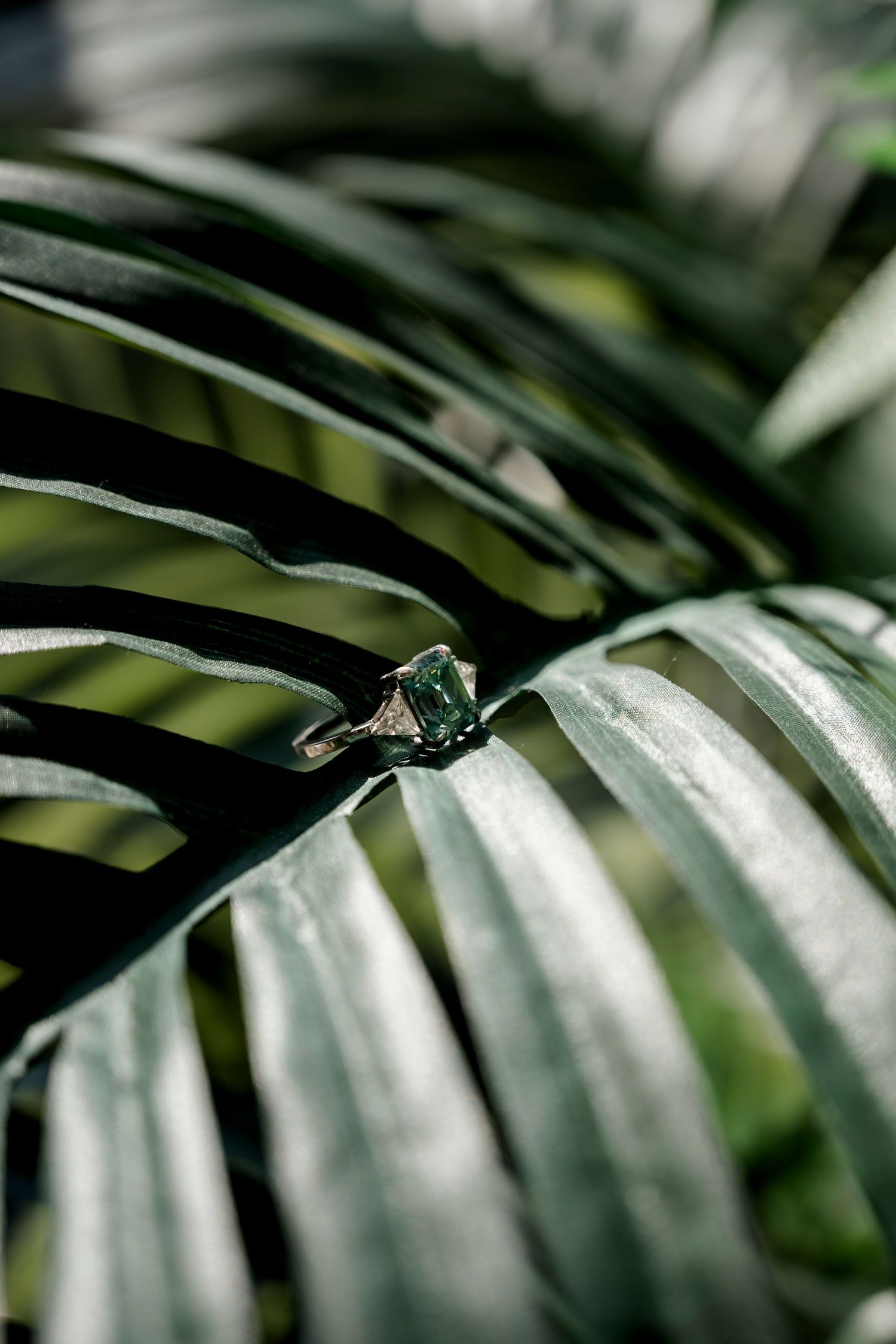 Silver ring with emerald green gemstone resting on tropical palm leaf in natural light.