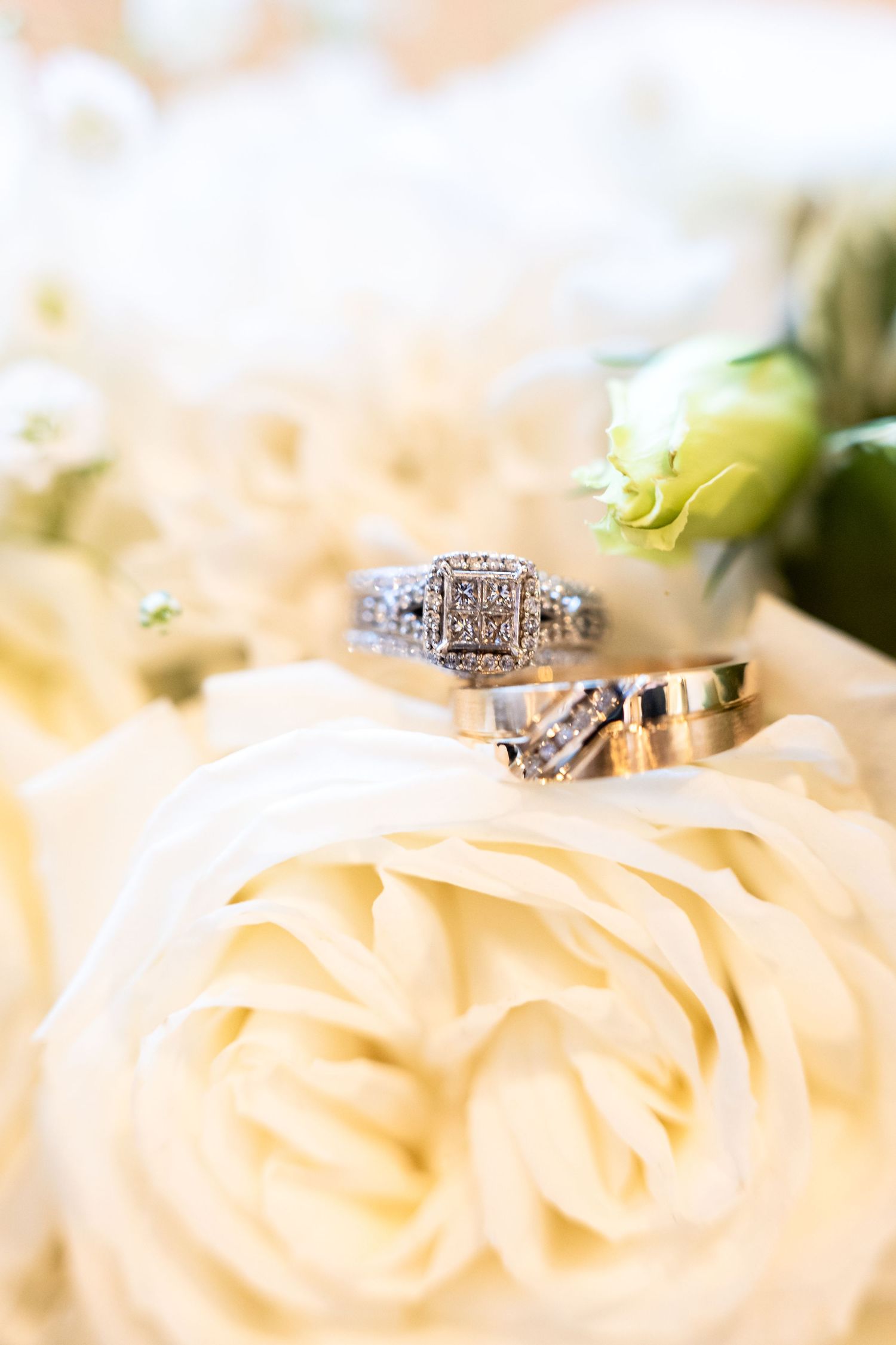 Close-up of diamond engagement rings nestled among soft peach-colored rose petals.