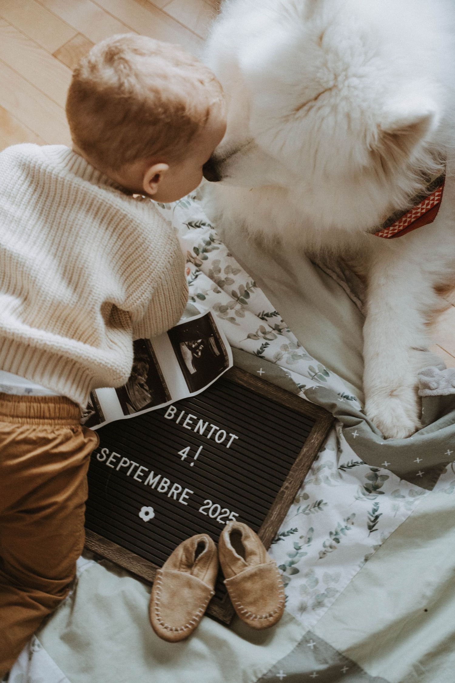 Futur Bébé