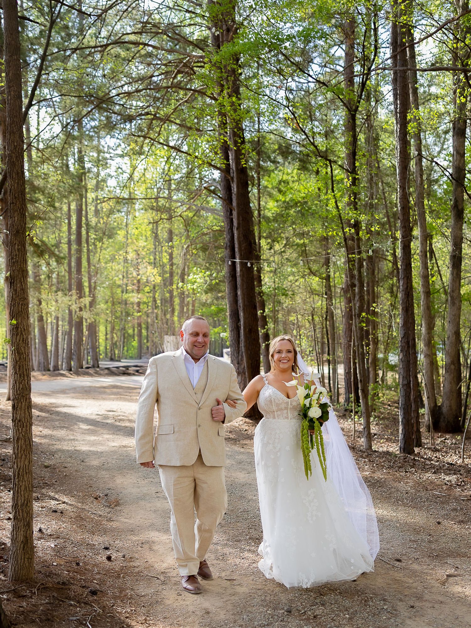 Bride and groom walking hand in hand through a sunlit pine forest on their wedding day.