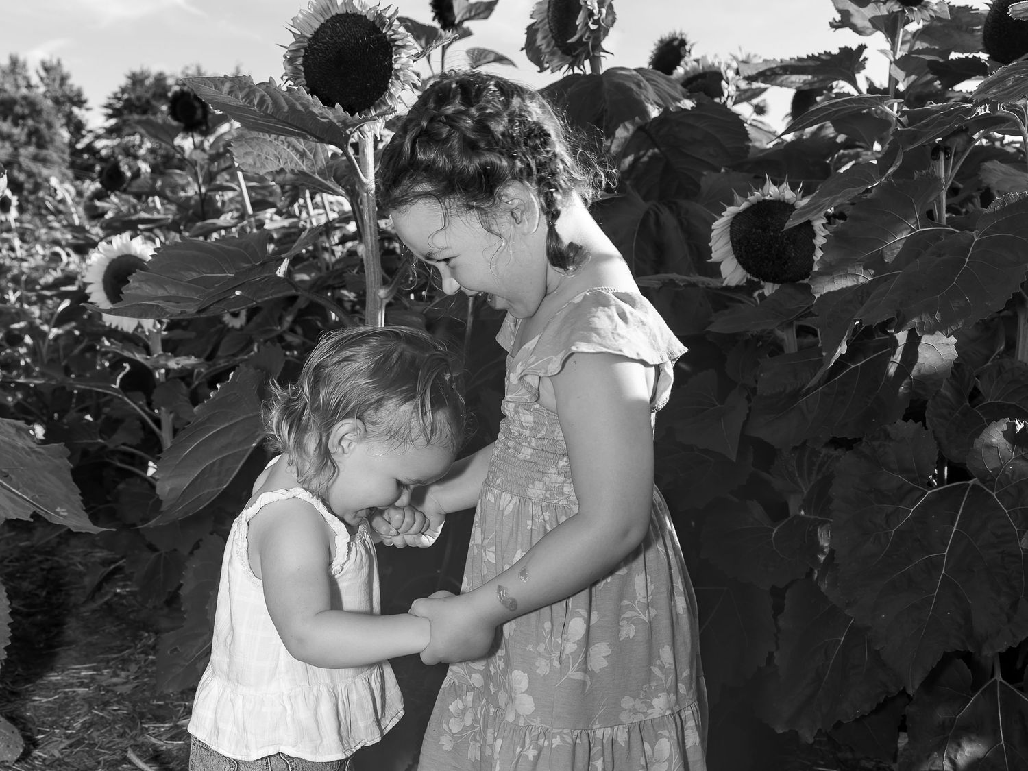Black and white photo of a woman and young girl among tall sunflowers, sharing a tender moment outdoors.