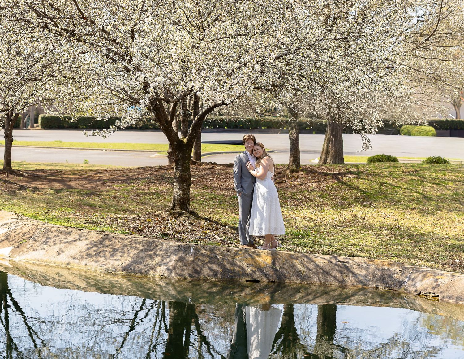 Cherry blossom trees bloom along a tranquil pond's edge, creating reflections in the calm water on a spring day.