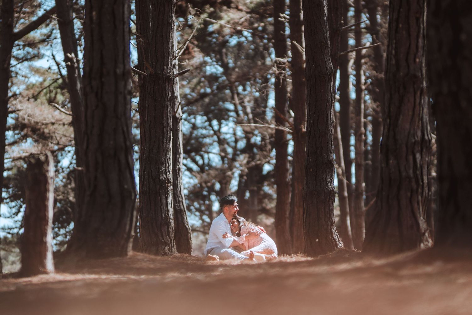Scenic forest path with tall pine trees and filtered sunlight.