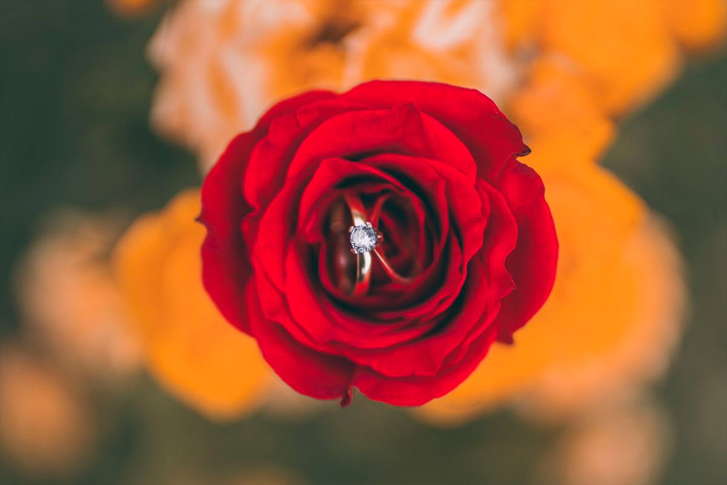 Fotografía de bodas y video de bodas en Santiago de Chile. Sesiones preboda y postboda, edición cinematográfica y cobertura completa.