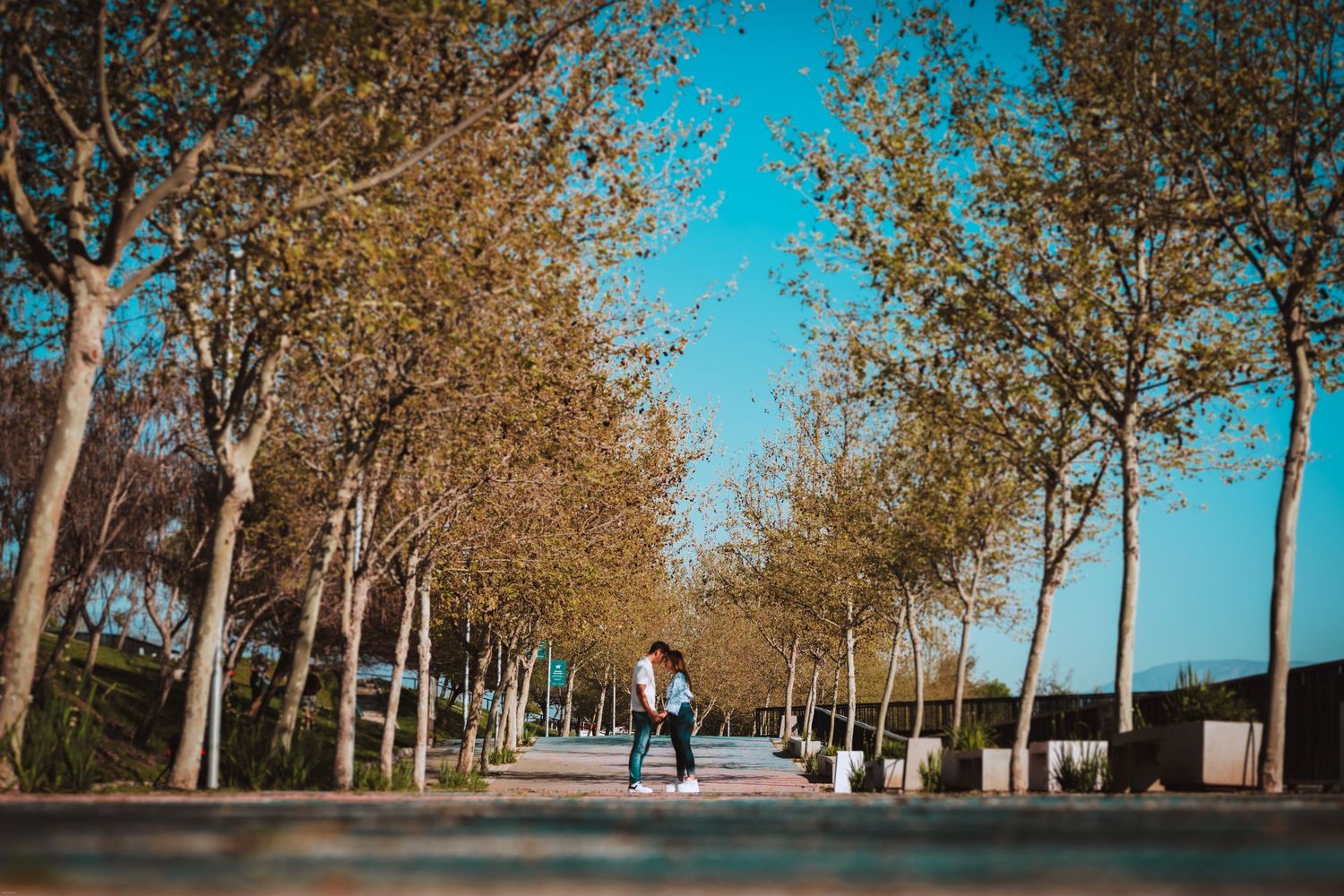 Fotografía de bodas y video de bodas en Santiago de Chile. Sesiones preboda y postboda, edición cinematográfica y cobertura completa.
