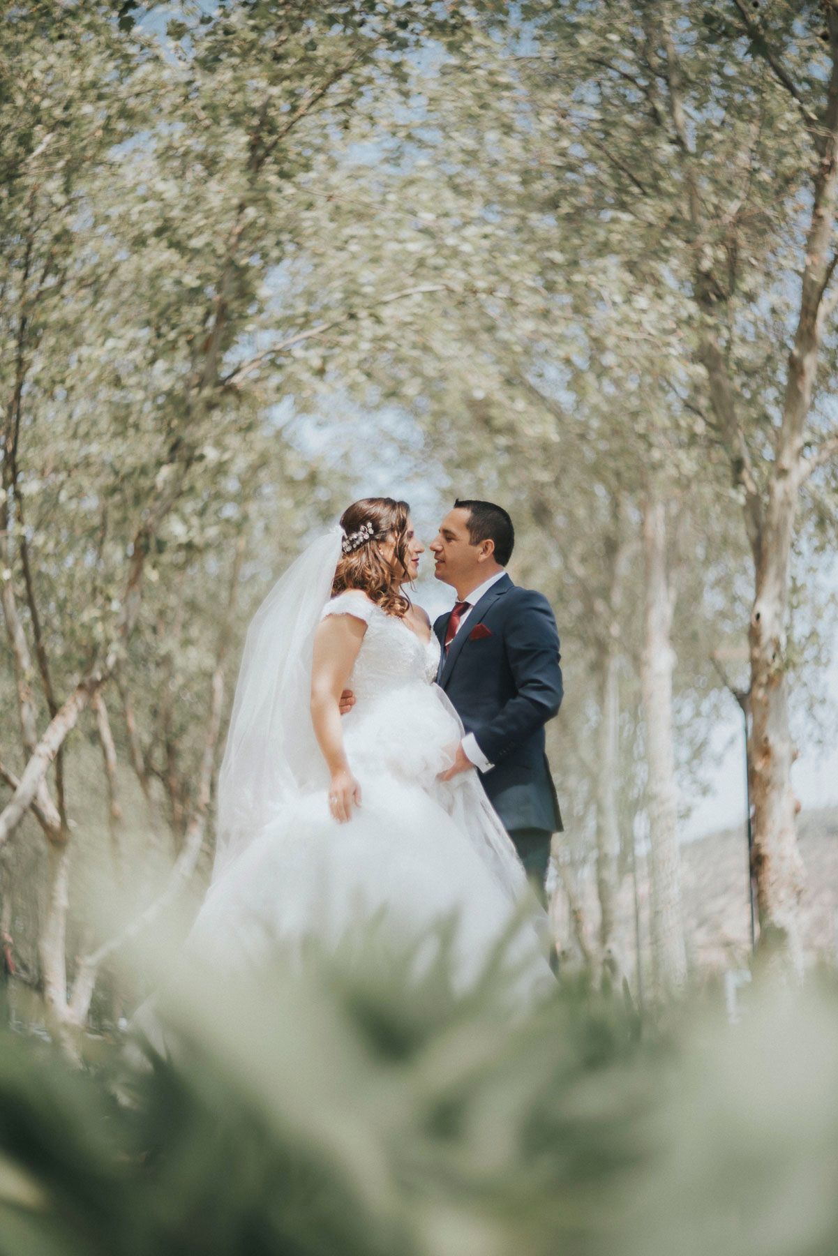 A romantic wedding moment captured through dreamy eucalyptus trees.