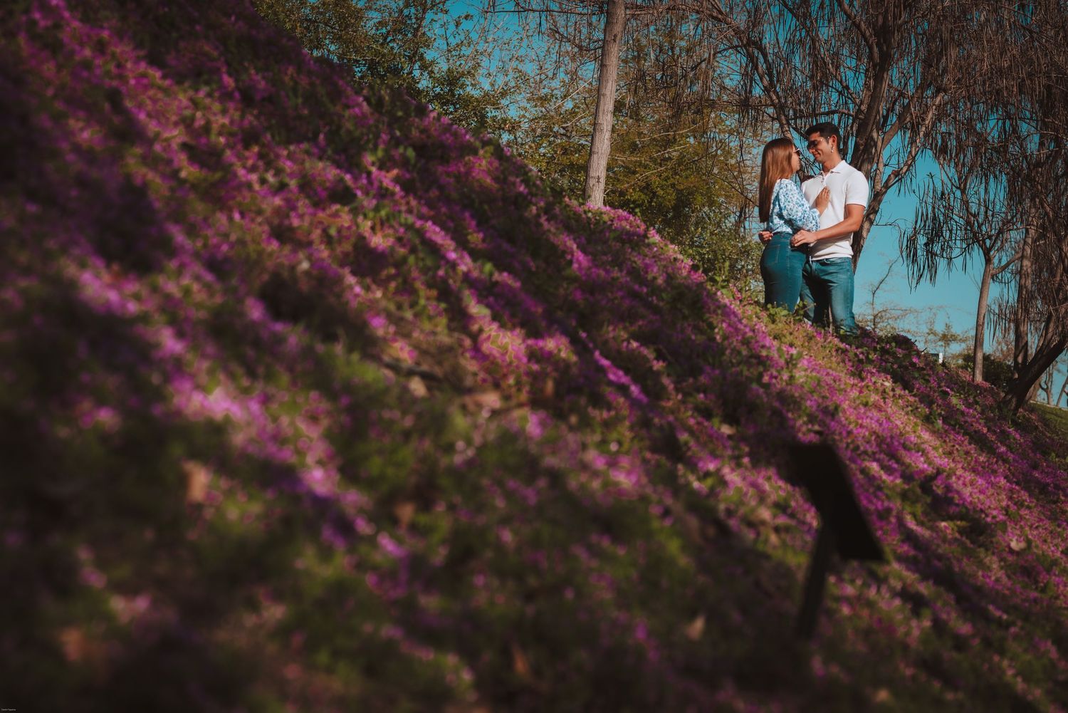 A couple embracing on a hillside covered in vibrant purple flowers against a natural backdrop.
