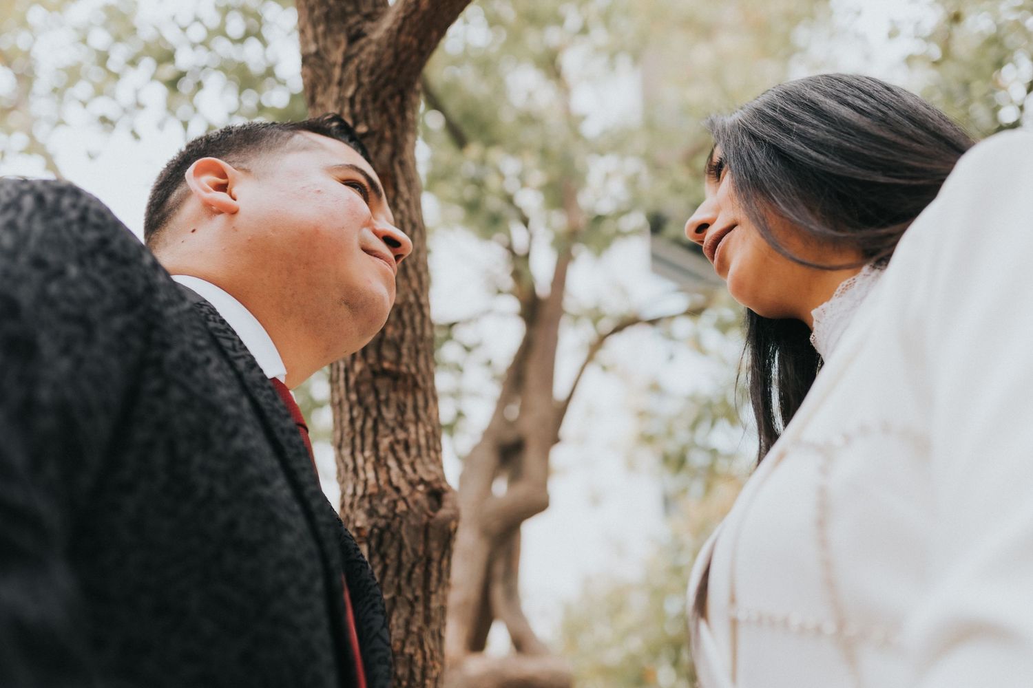 A couple in wedding attire shares romantic moments against rustic tree backdrops in a series of photos.