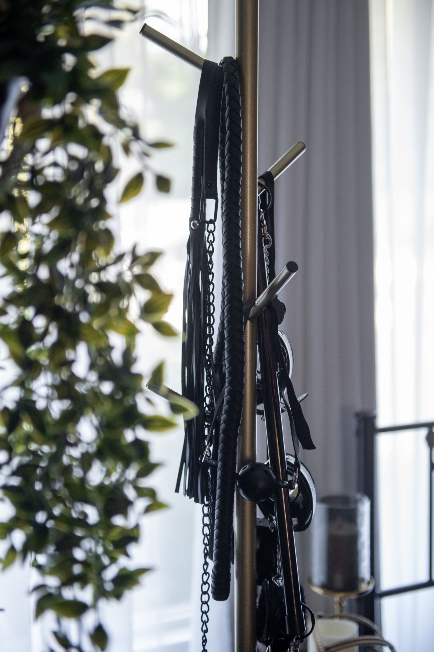 Black leather whips and naughty boudoir toys with metal chains hanging on a gold rack against a white wall near foliage.