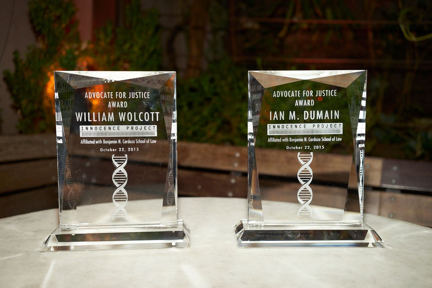 A row of multiple identical clear glass or acrylic DNA helix-shaped trophies or awards displayed on a dark surface.