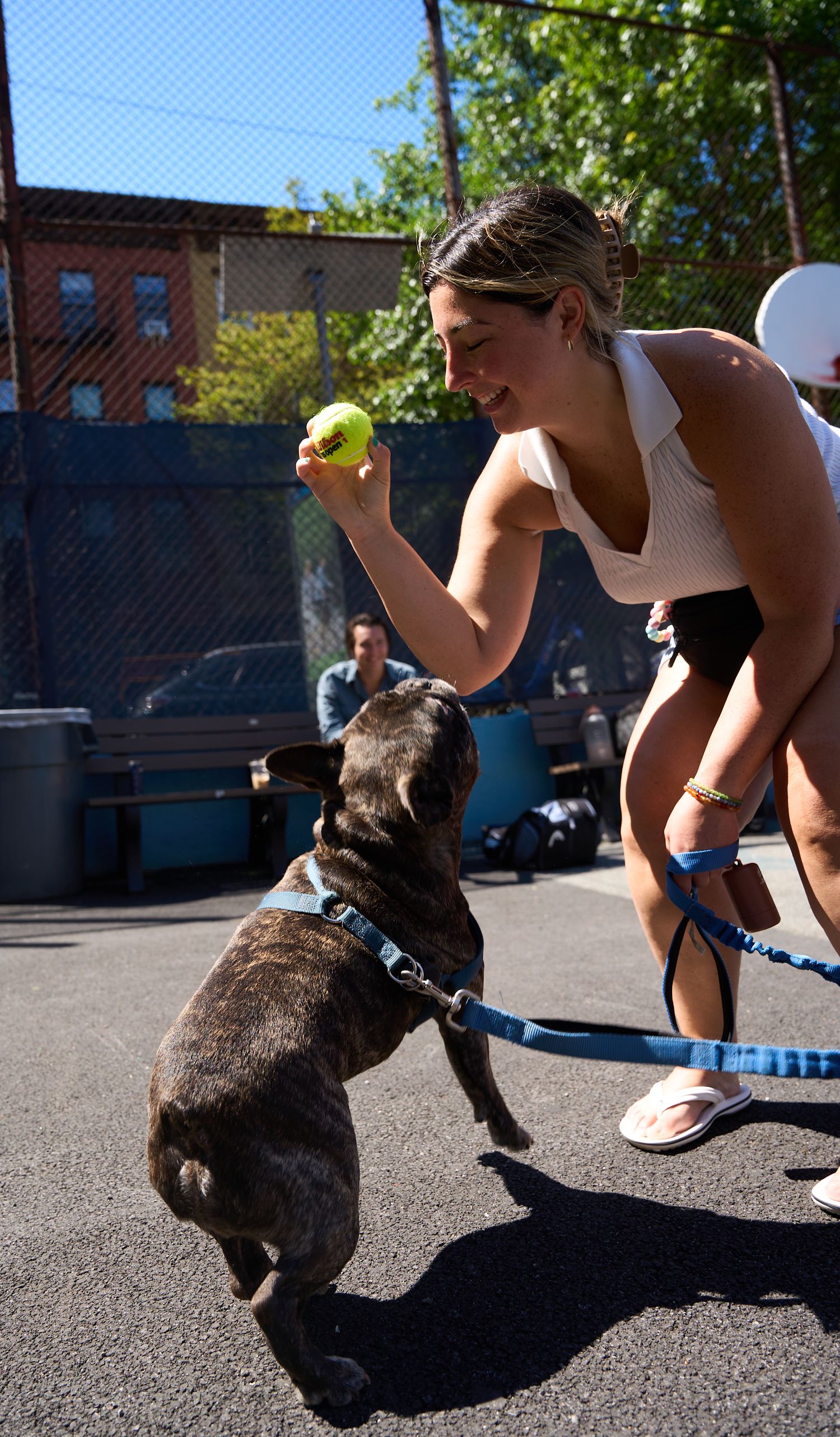 A sequence of photos showing a dog jumping up to catch a tennis ball in a parking lot on a sunny day.