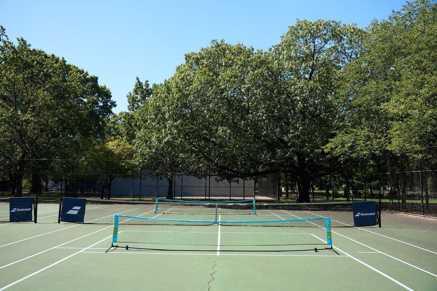 Empty outdoor tennis court with green surface surrounded by tall trees on a sunny day.