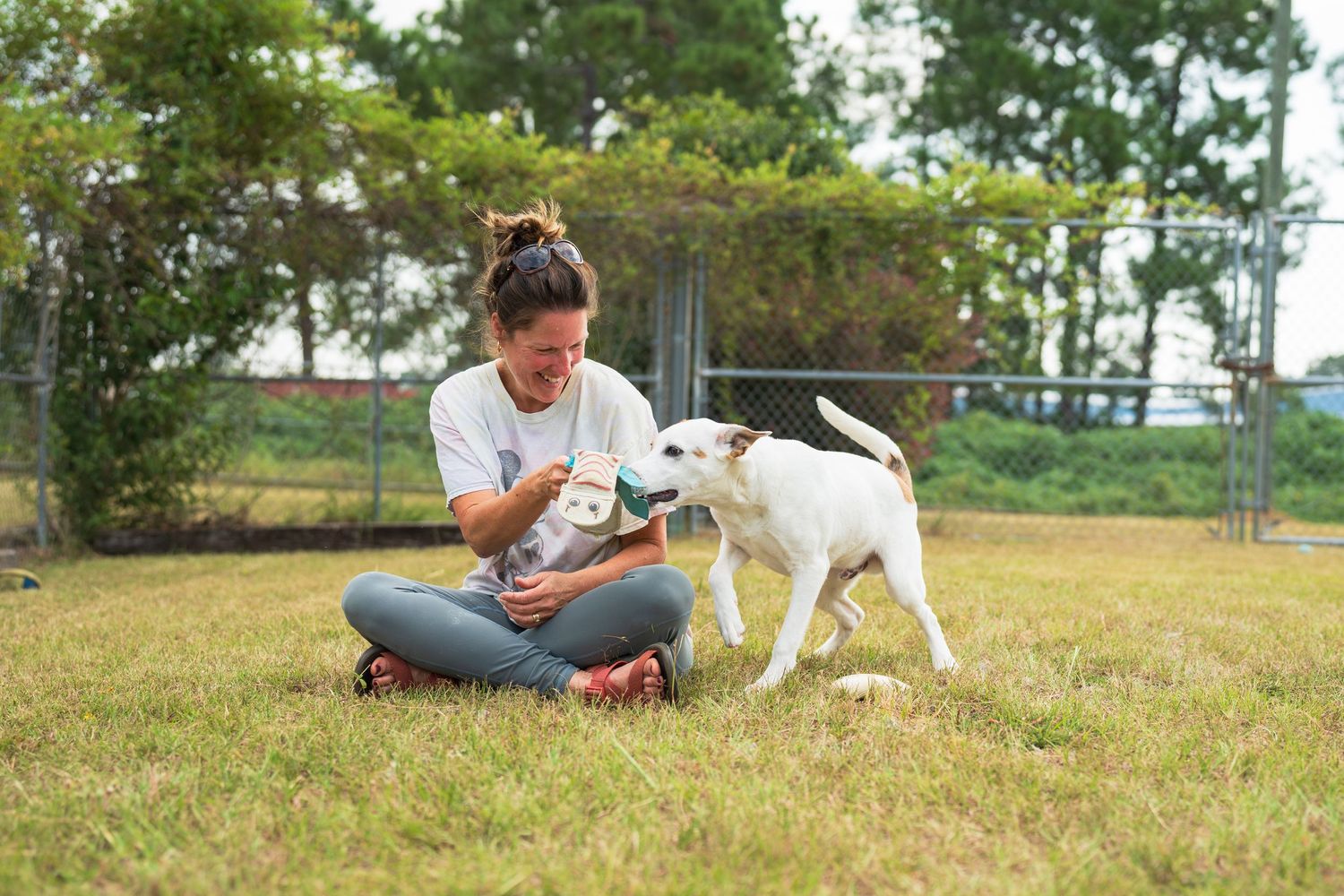 Mix breed at the shelter playing with a person- Warner Robins Animal Control