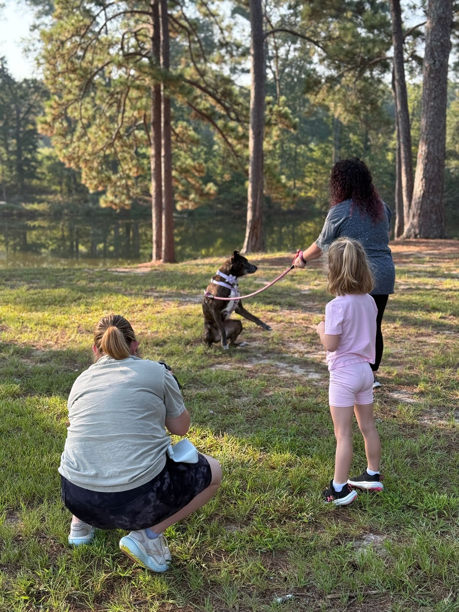 a dog photographer taking a photo of a dog at a fundraiser and the dog is jumping in the air while the human holds the leash in Georgia