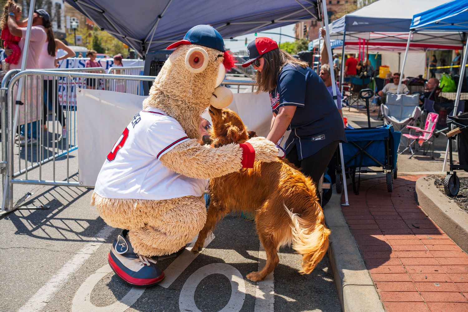 Dock diving- Paws for Portraits- cherry blossom festival Macon- Atlanta Braves