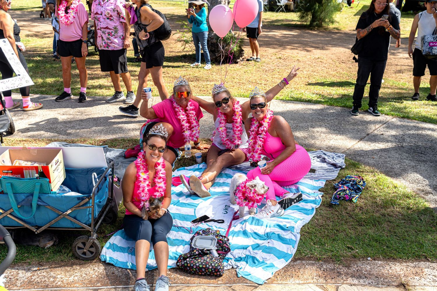 Hawaii humane society pet walk- paws for portraits