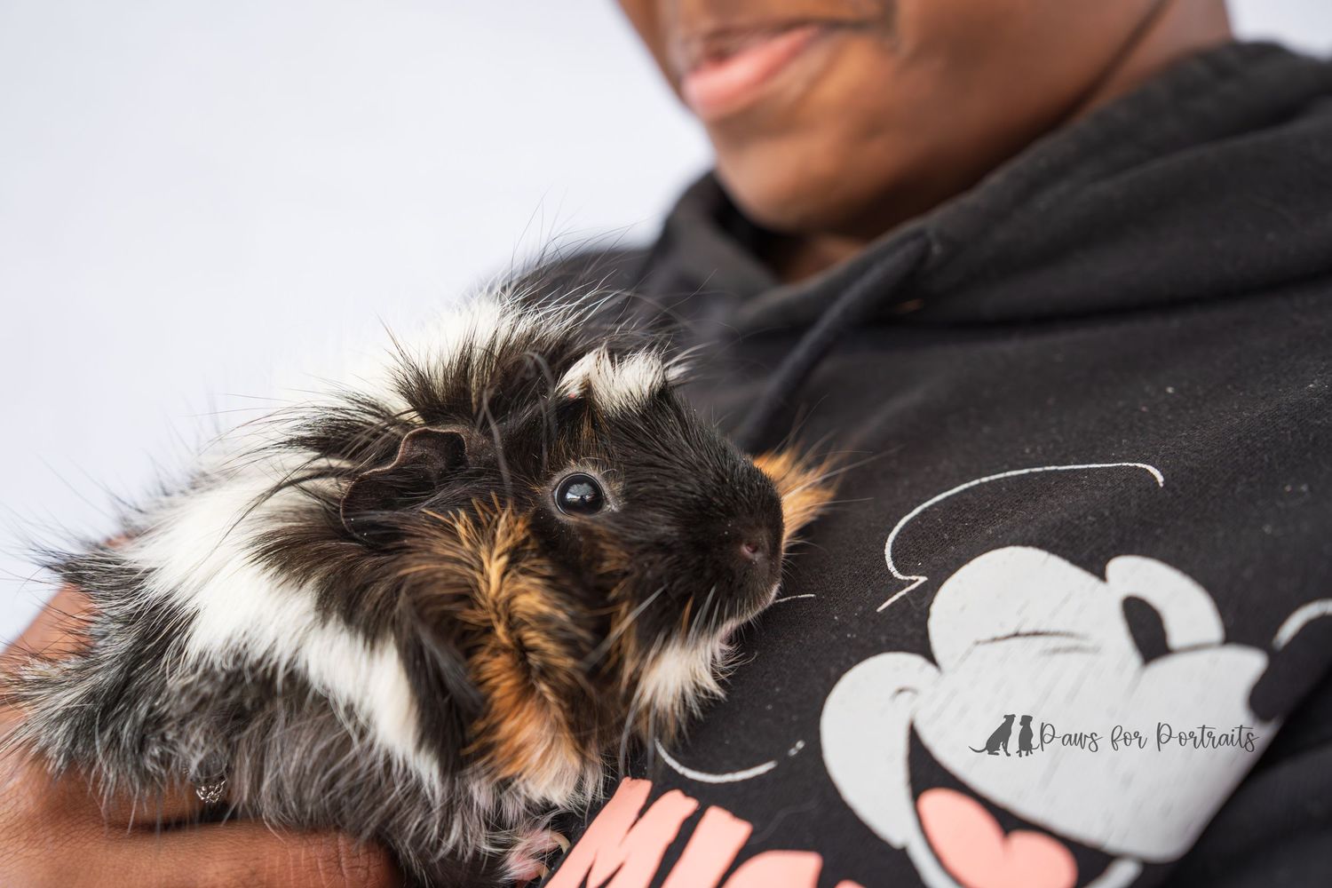 Adopted pet through Pawesome Southern Rescue petsmart adoption event in Warner Robins, GA. Dog photography taken by paws for portraits