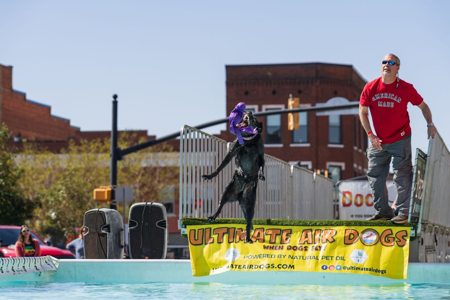 Dock diving- Paws for Portraits- cherry blossom festival Macon