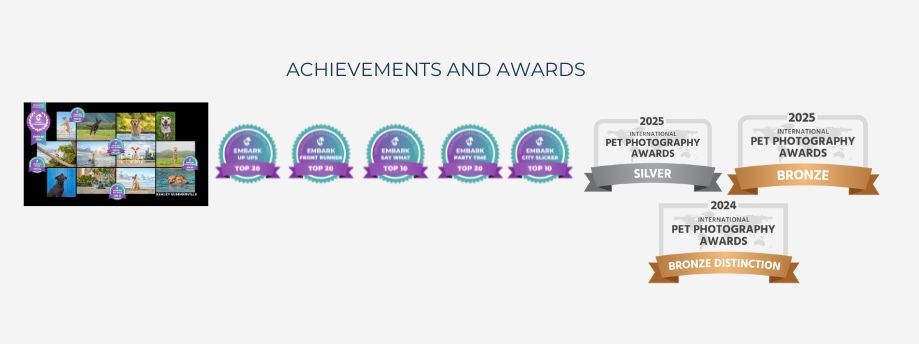 Paws for Portraits Awards and achievements