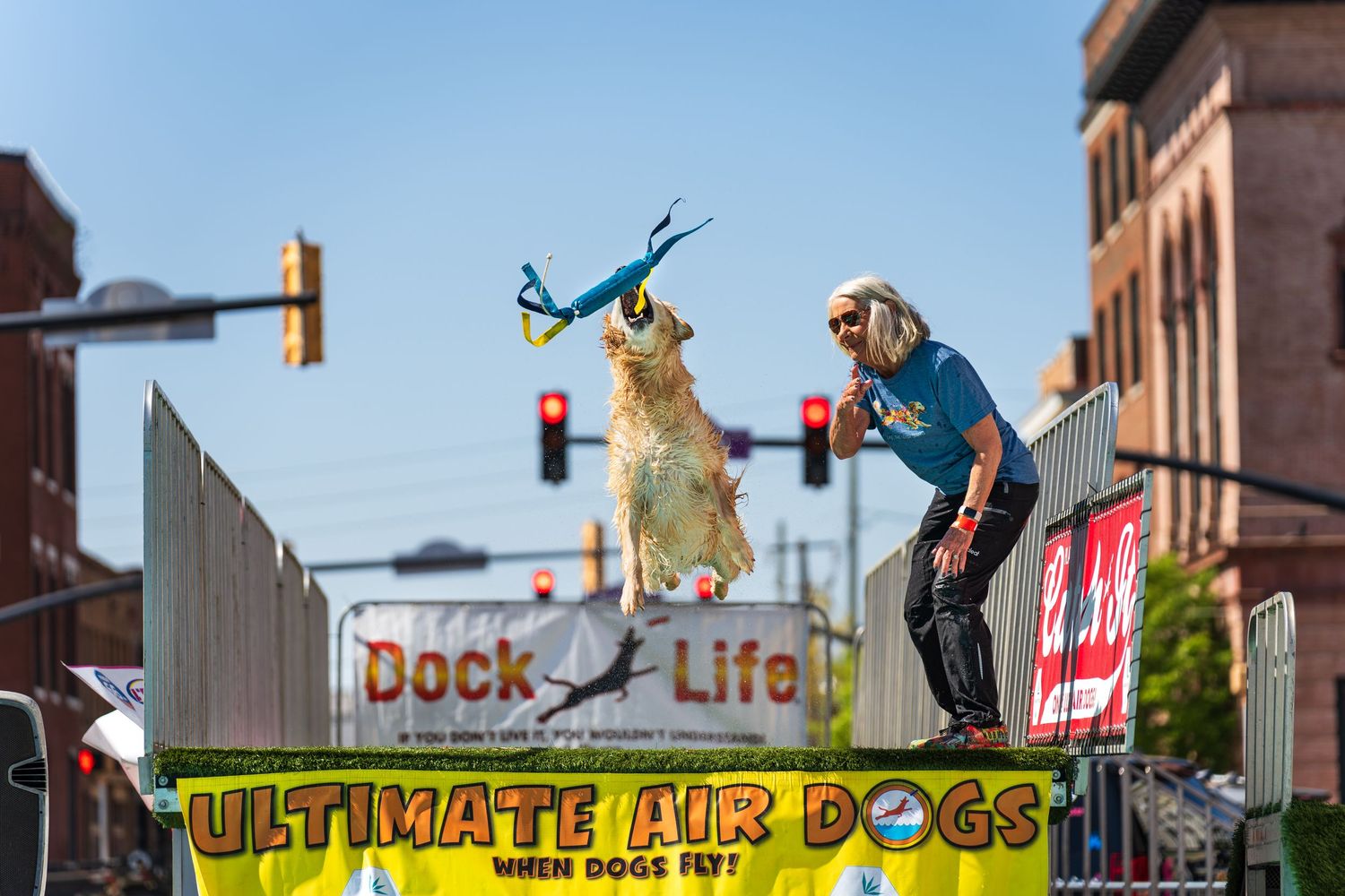 dock diving dog photography- paws for portraits- Georgia dog photographer